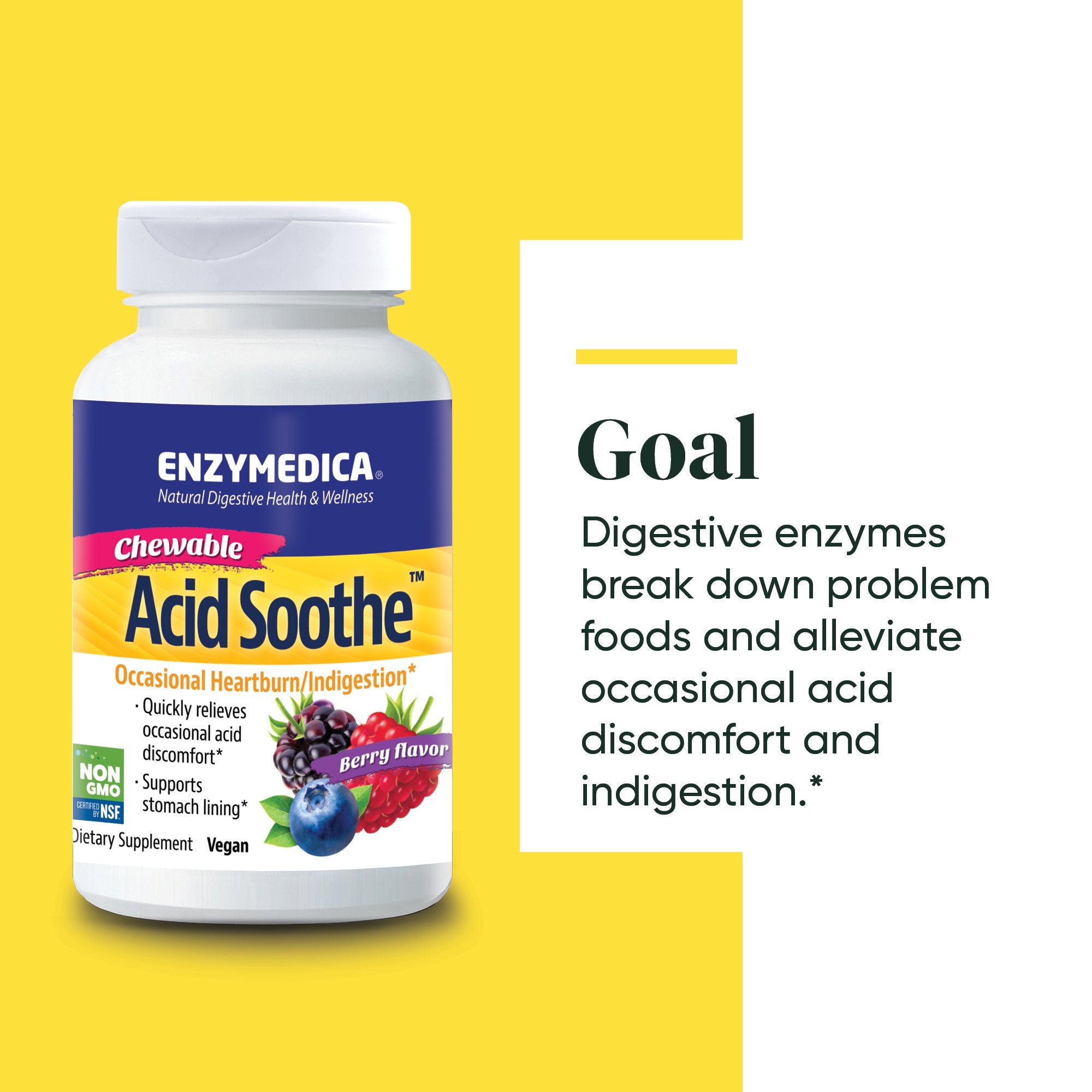 Acid Soothe Chewable supplement from Enzymedica discussing the Goals of the product