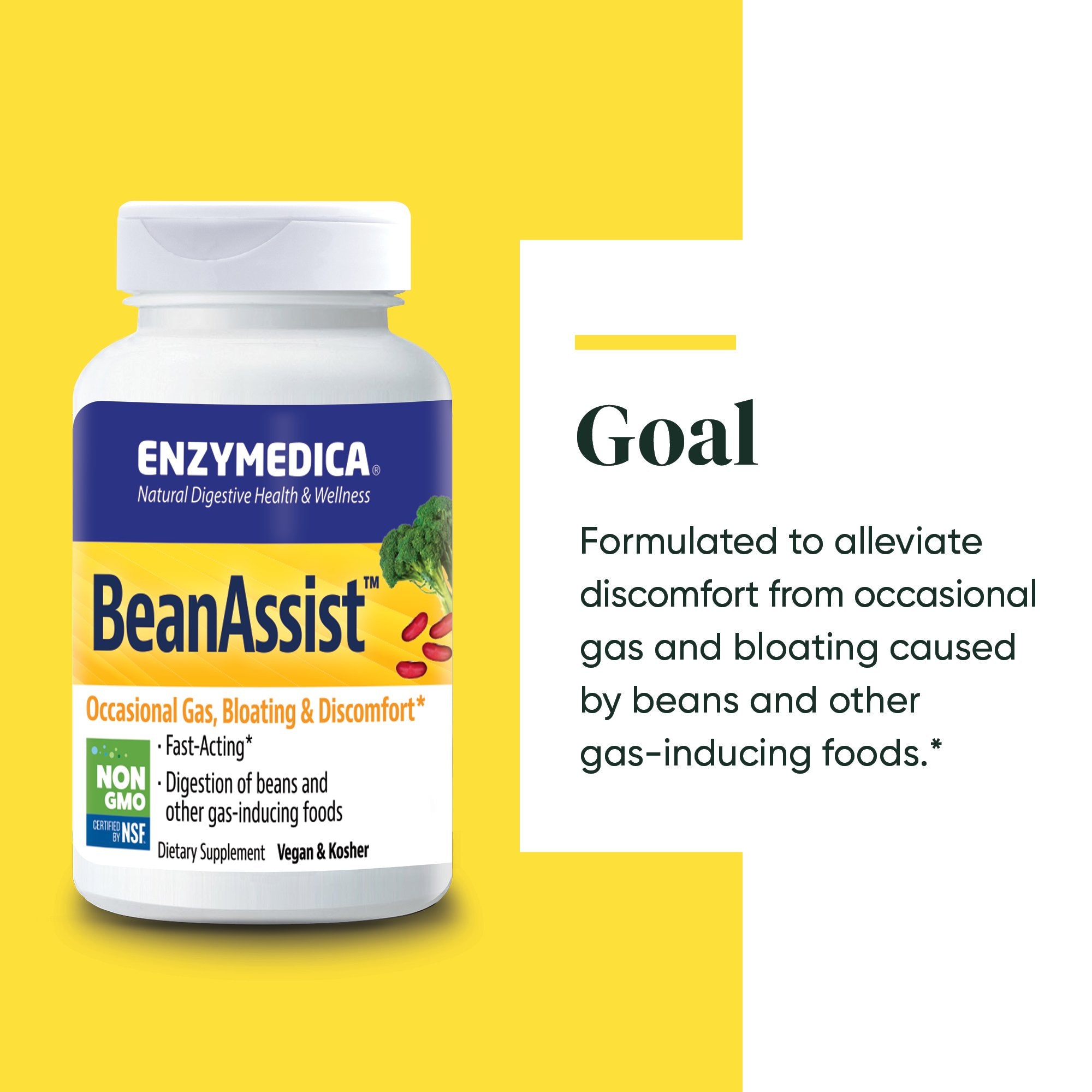 BeanAssist supplement from Enzymedica discussing the Goals of the product