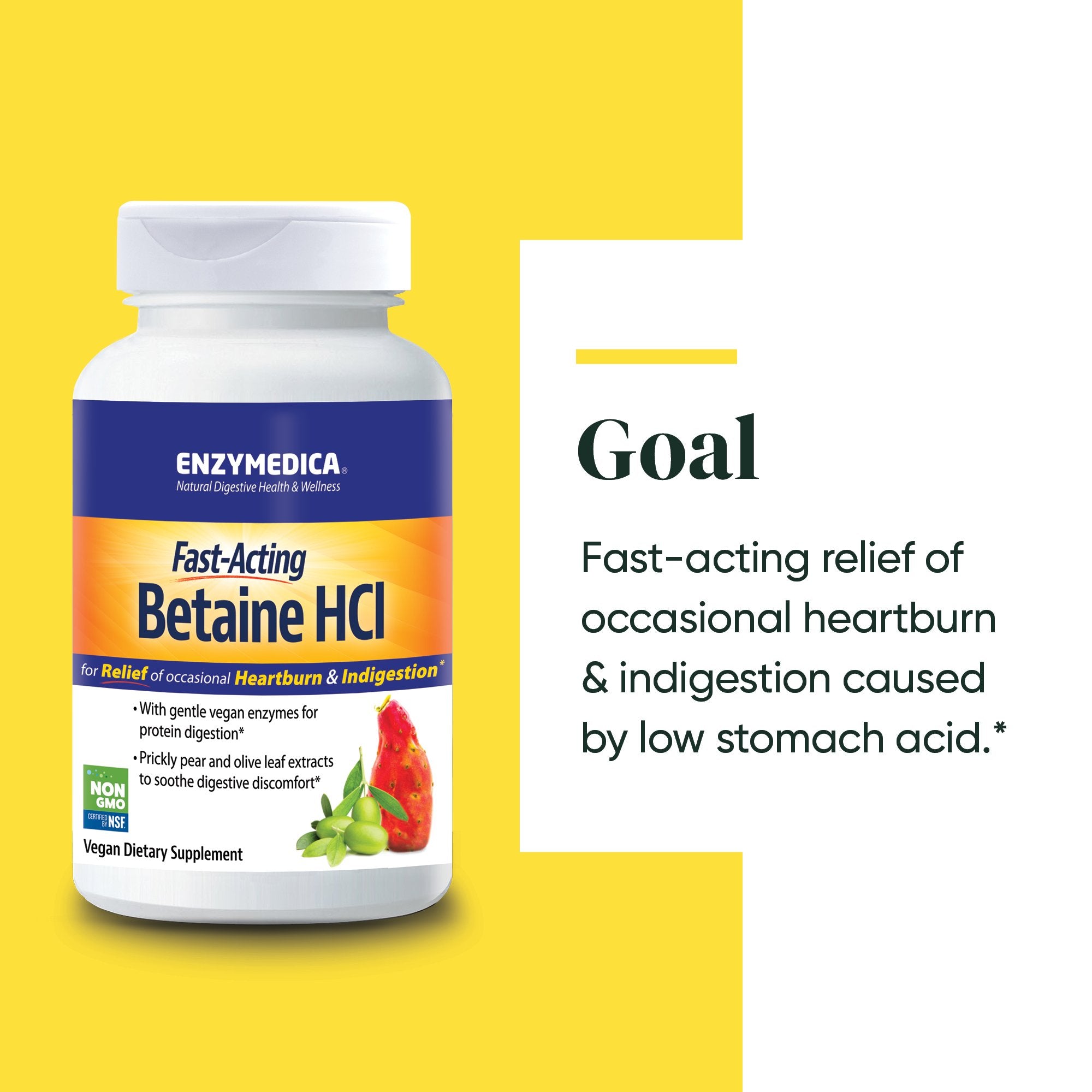 Betaine HCl supplement from Enzymedica discussing the Goals of the product