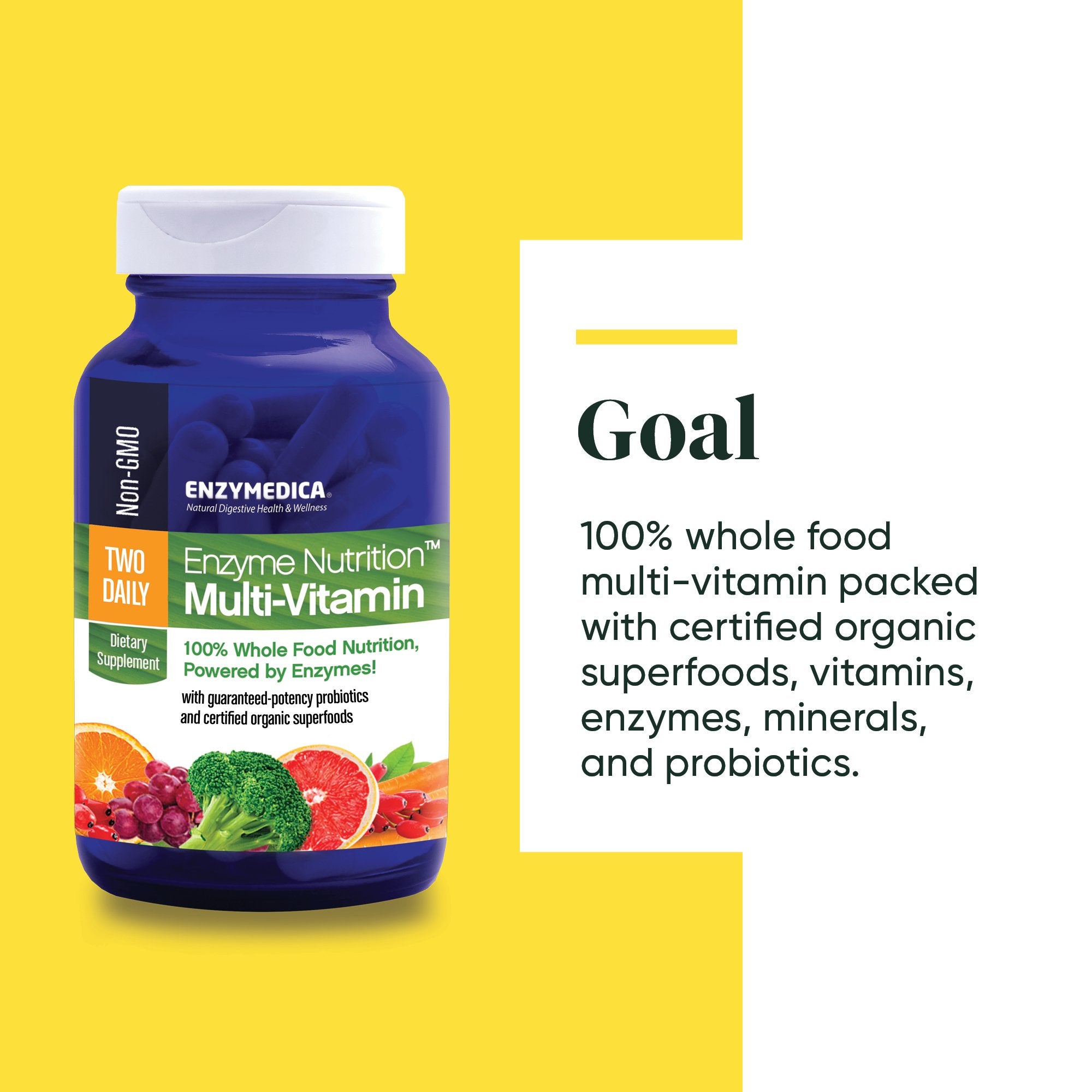 Enzyme Nutrition Multi-Vitamin Two Daily from Enzymedica discussing the Goals of the product