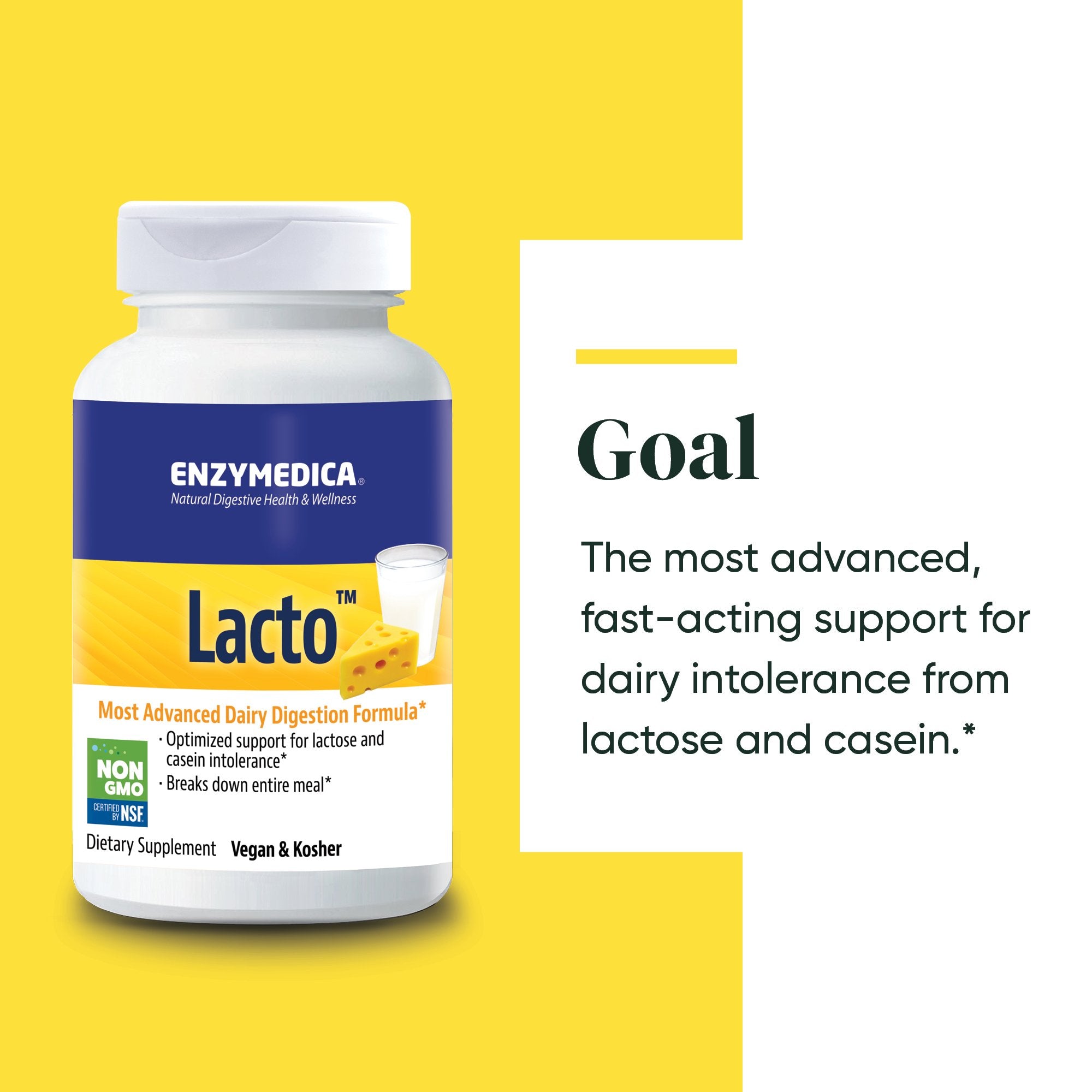 Lacto supplement from Enzymedica discussing the Goals of the product