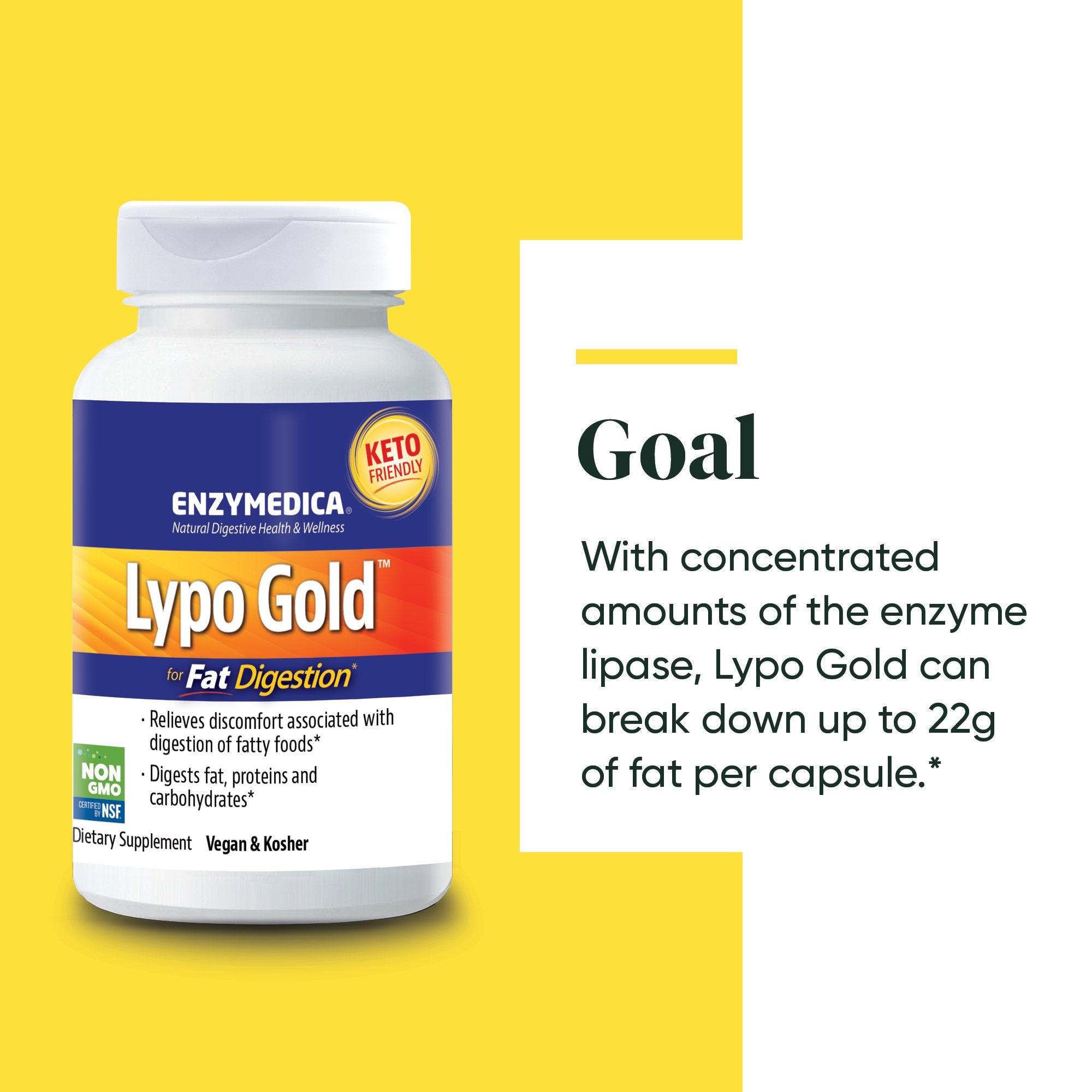 Lypo Gold supplement from Enzymedica discussing the Goals of the product