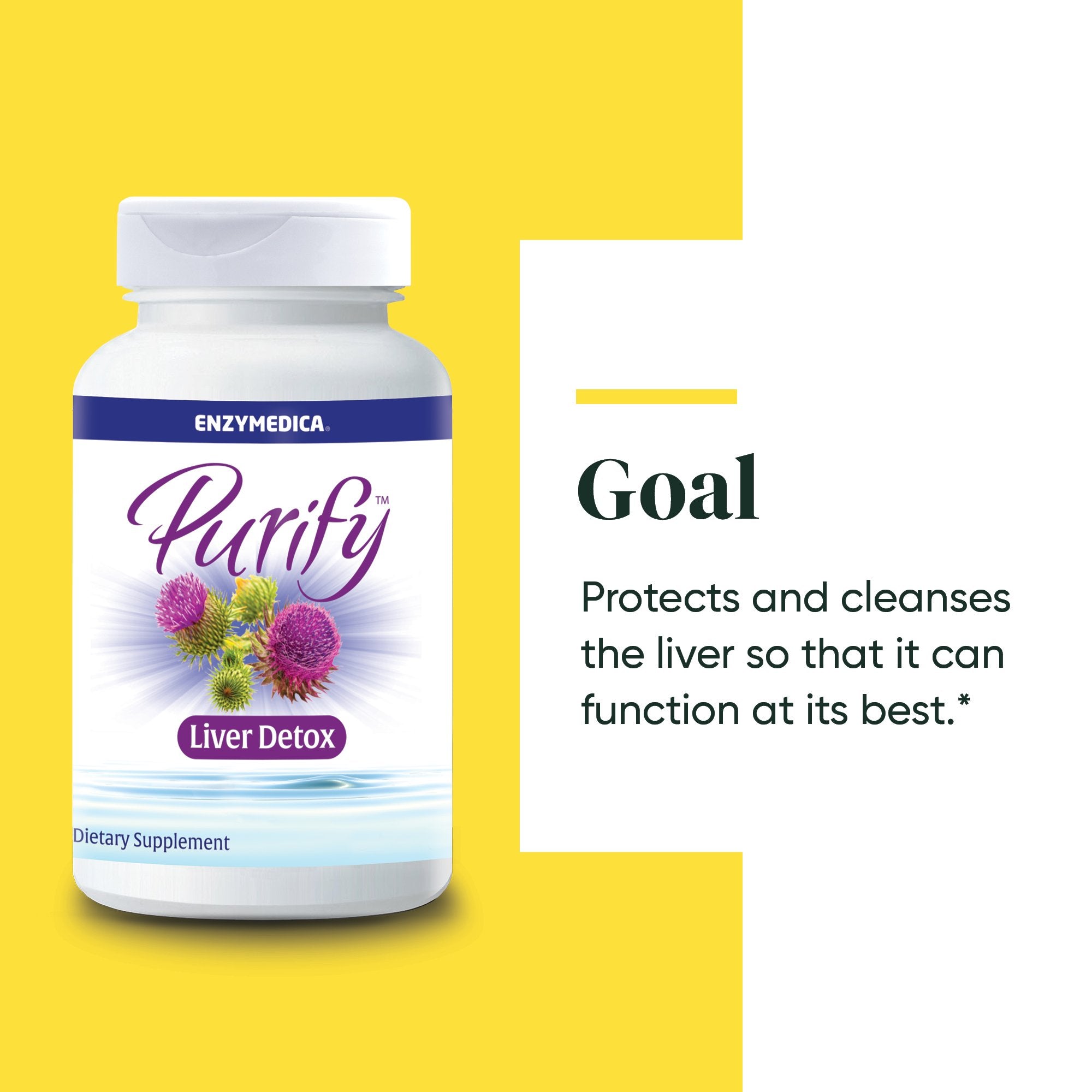 Purify Liver Detox supplement from Enzymedica discussing the Goals of the product