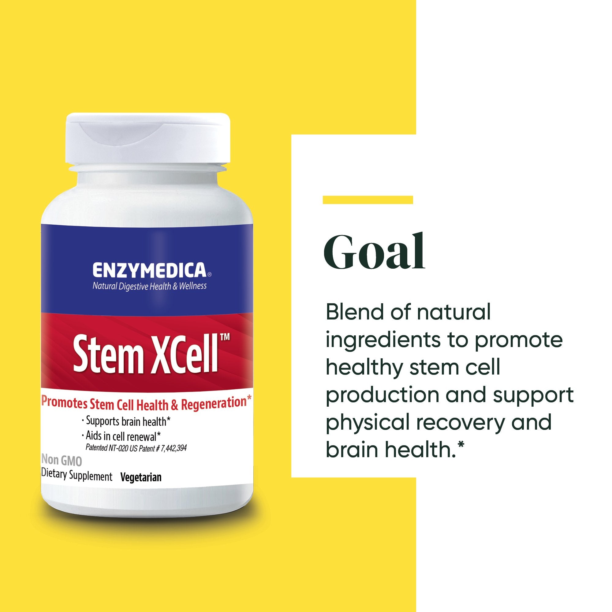 Stem XCell supplement from Enzymedica discussing the Goals of the product