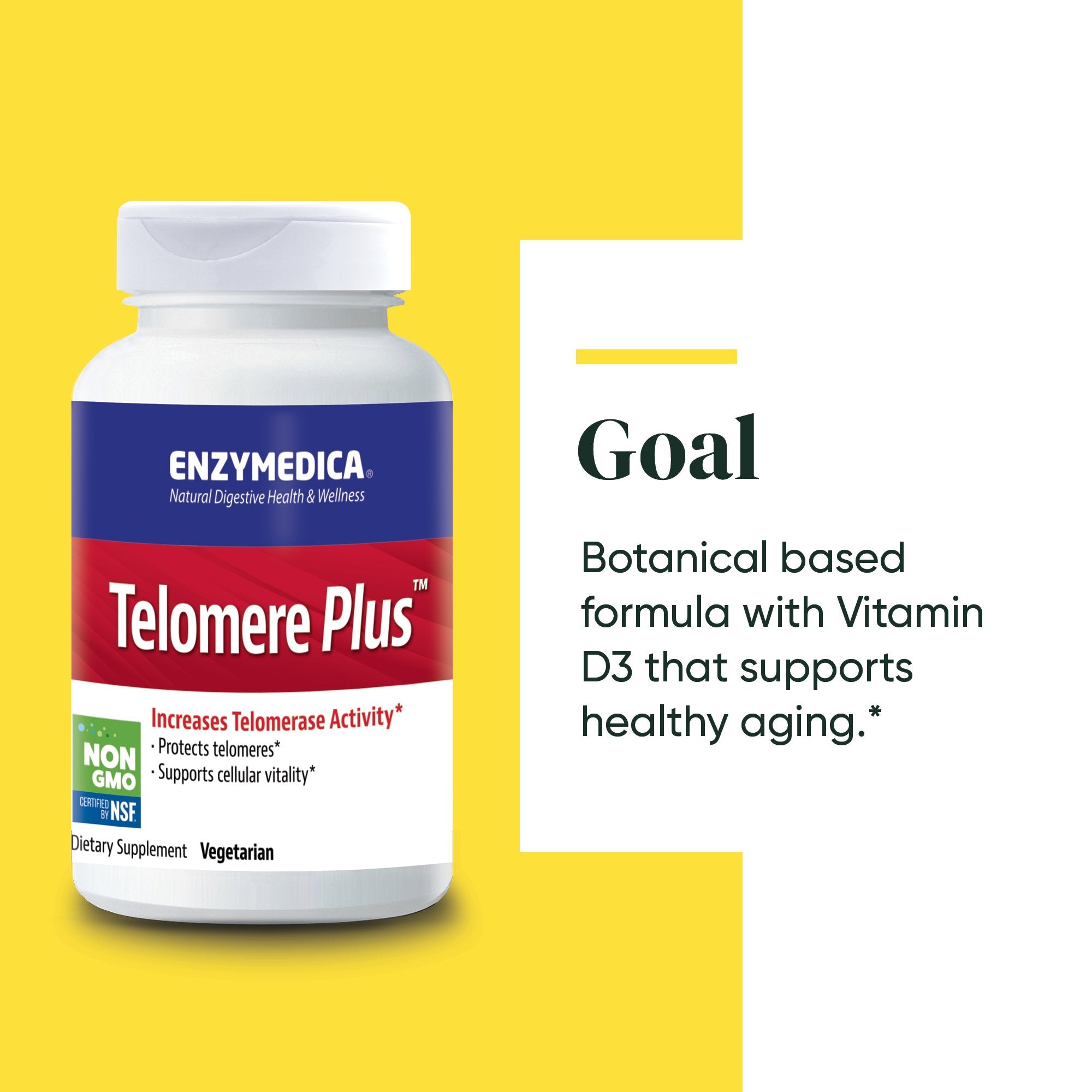 Telomere Plus supplement from Enzymedica discussing the Goals of the product
