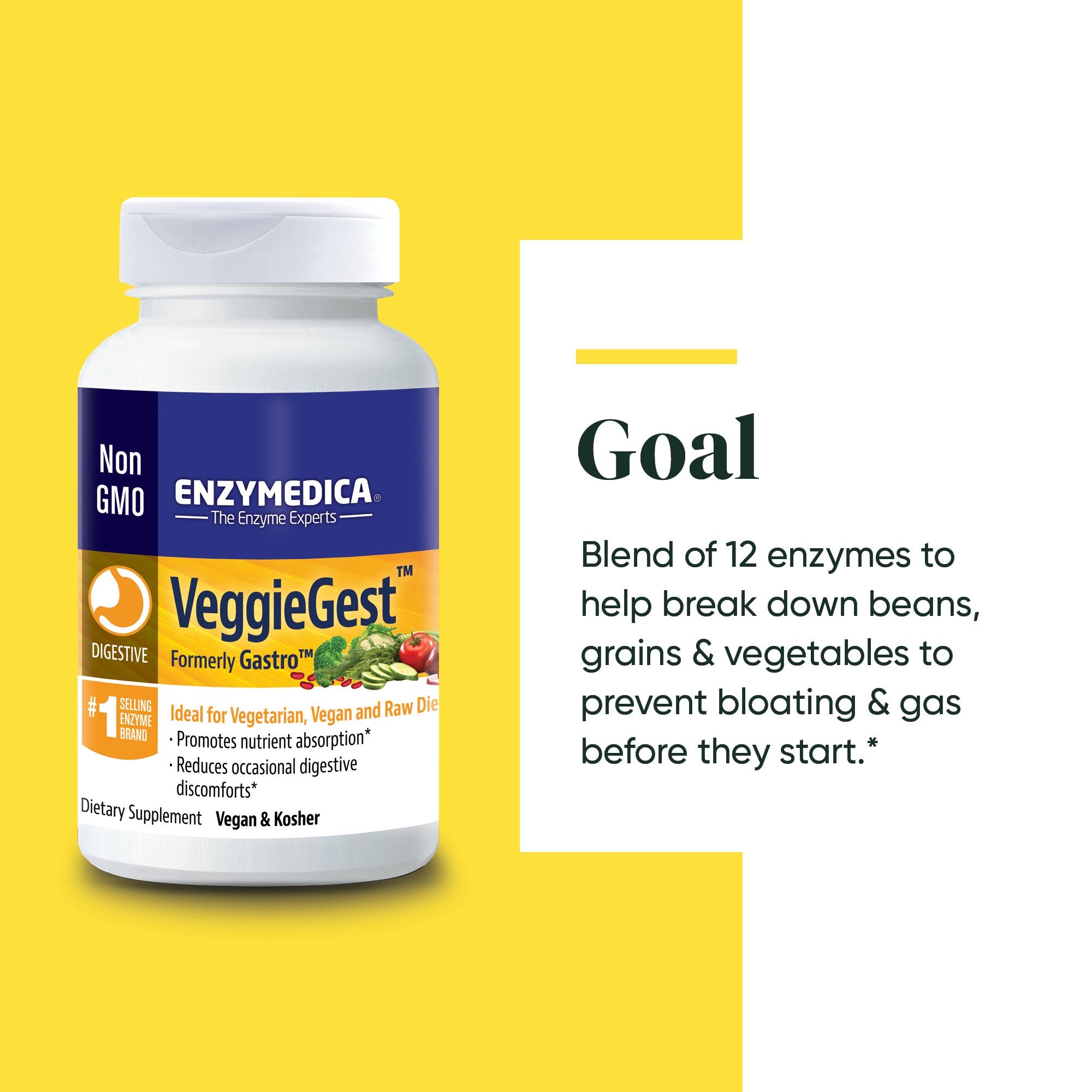 VeggieGest supplement from Enzymedica discussing the Goals of the product